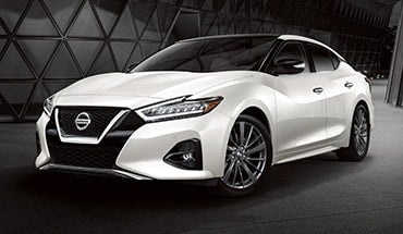 2023 Nissan Maxima in Clay Cooley Nissan of Irving in Irving TX